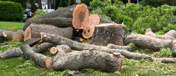 Best Emergency Tree Removal  in Palermo, NJ