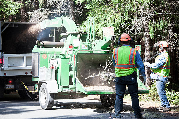 Mulching Services in Palermo, NJ