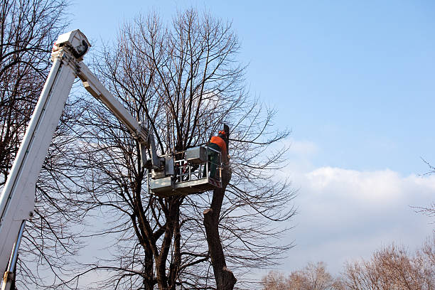 Best Aeration Services  in Palermo, NJ